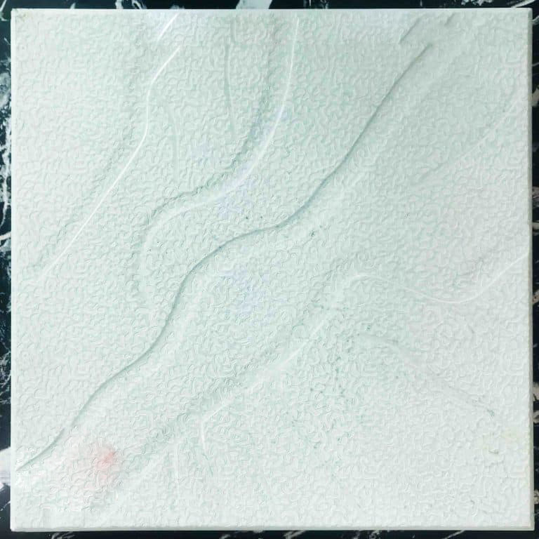 DP-CORIC-23-1-768x768