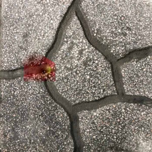 Gạch Lát Terrazzo